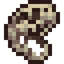 Remnant's Skull