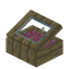 Pink Birch Display Case