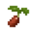 Tomato Seed