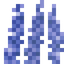 Delphinium