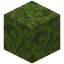 Old Moss Block