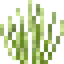 Lemongrass