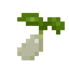 Kenaf Seed
