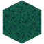 Dried Warped Wart Block
