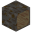Hollow Mangrove Log