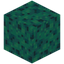 Spongy Warped Wart Block