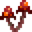 Double Crimson Fungus