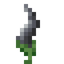 Glimmering Gray Flower