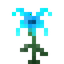 Frost Lily