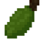 Breadfruit Fruit