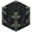 Reinforced Deepslate