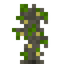 Jackfruit Sapling