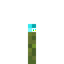 Moss Block Soul Torch