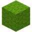 Wickered Lime Wool