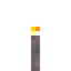 Mycelium Torch