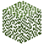 Brazilwood Leaves