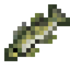 Walleye
