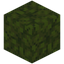 Crunchy Moss Block
