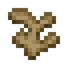 Ginger Root