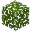 Logwood Leaves