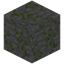 Eroded Mossy Stone Bricks
