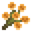 Yellow Wildflower