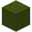 Crafted Green Wool