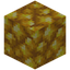 Block of Raw Gold