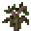 Orange Sapling