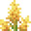 Goldenrod
