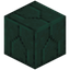 Prismal Dark Prismarine Remnants