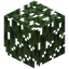 Rubberwood Leaves