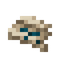 Ancient Knowledge Fragment
