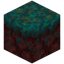 Warped Nylium