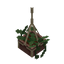 Hanging Potted Vines