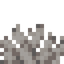 Dead Bubble Coral Fan