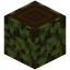 Overgrown Dark Oak Log