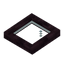 Cherry Bark Trapdoor
