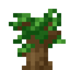 Dark Oak Sapling