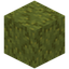 Old Sponge