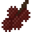 Lychee Fruit