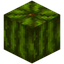 Ripe Melon