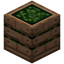 Crate of Green Beans
