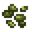 White Grape Seeds