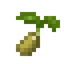 Oats Seed