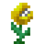 Gourmaryllis