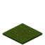 Barky Green Carpet