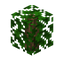 Oak Leaf Hedge