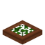 Leafy Acacia Trapdoor