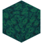 Bubbling Warped Wart Block